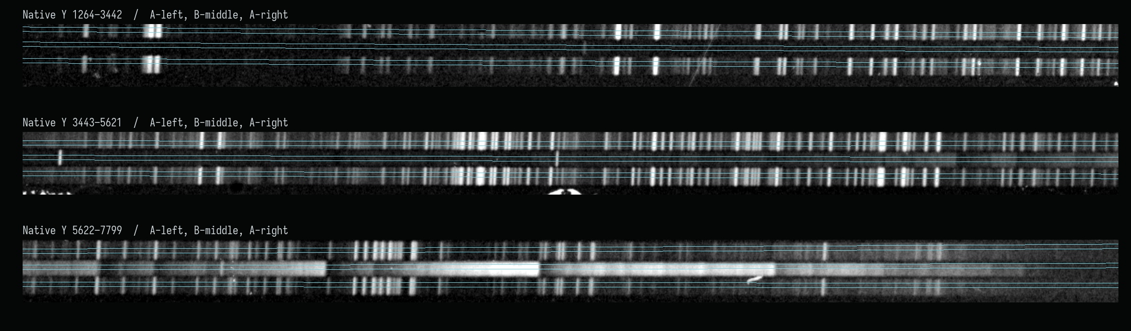 Three-record extraction detail