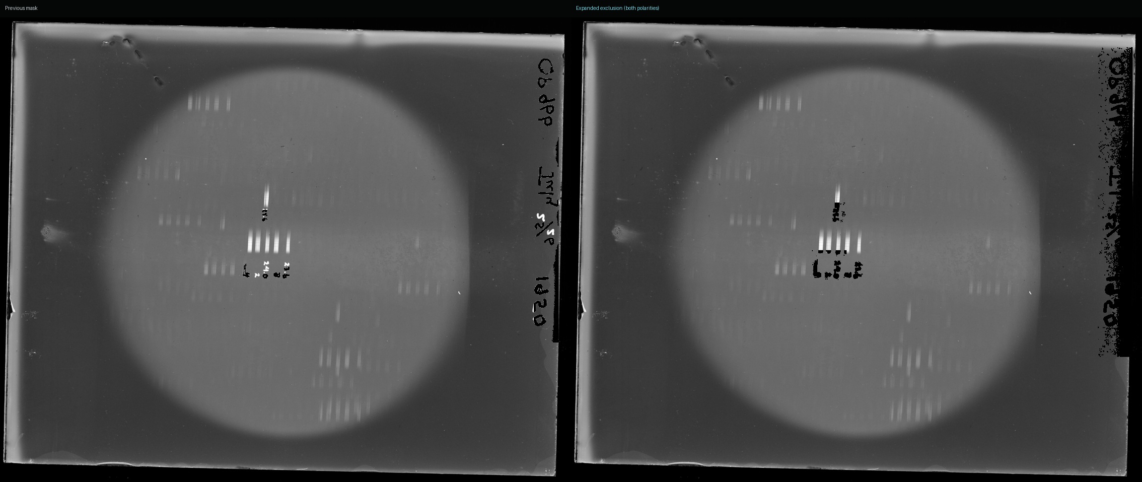Annotation mask revision comparison