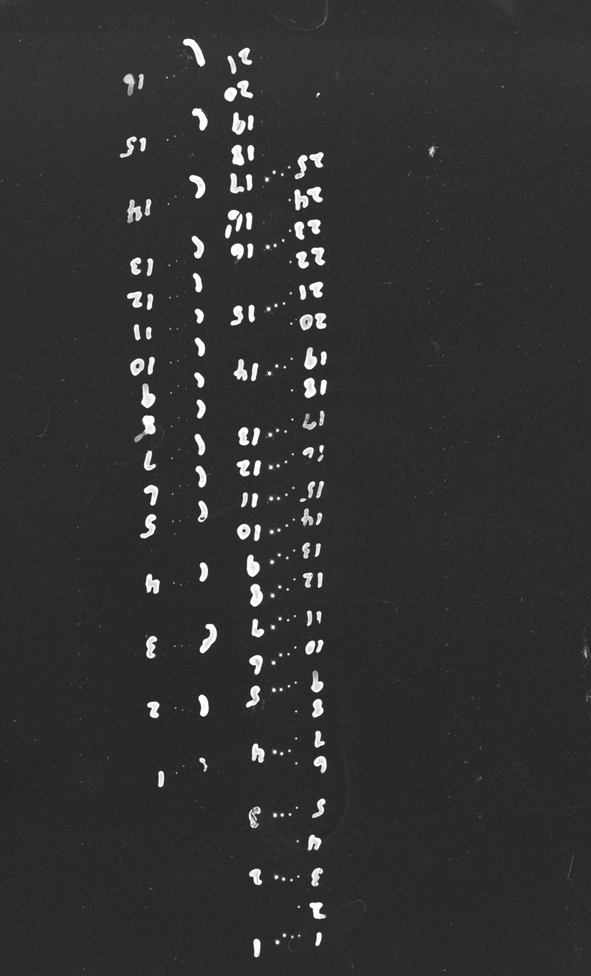 Photographic detail
