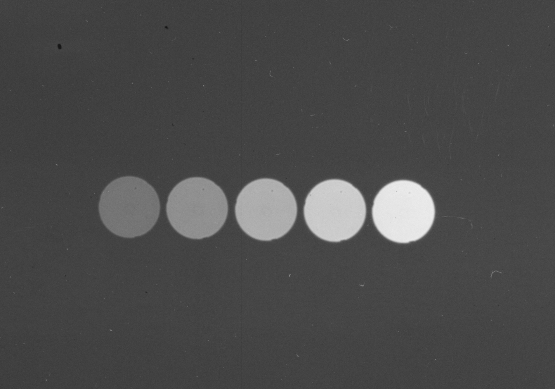 Photographic detail