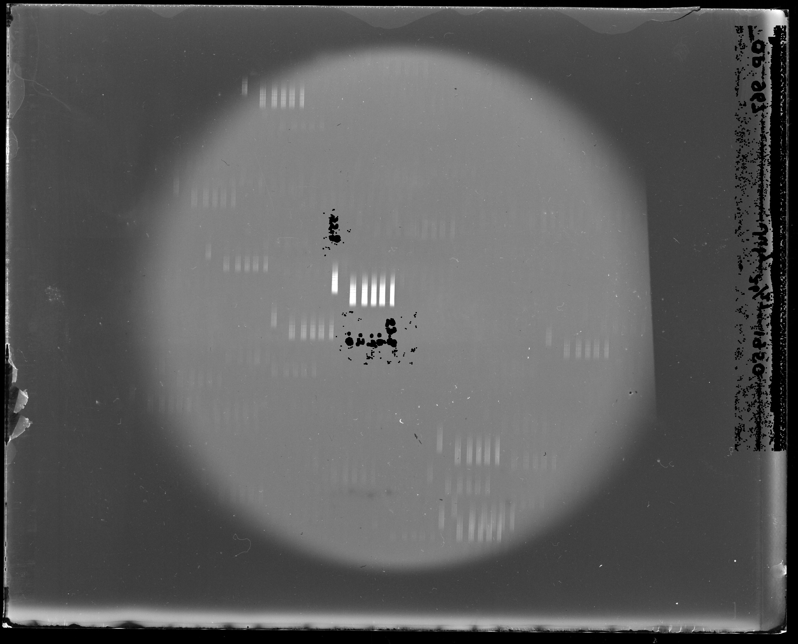 Photographic remainder using expanded exclusion mask