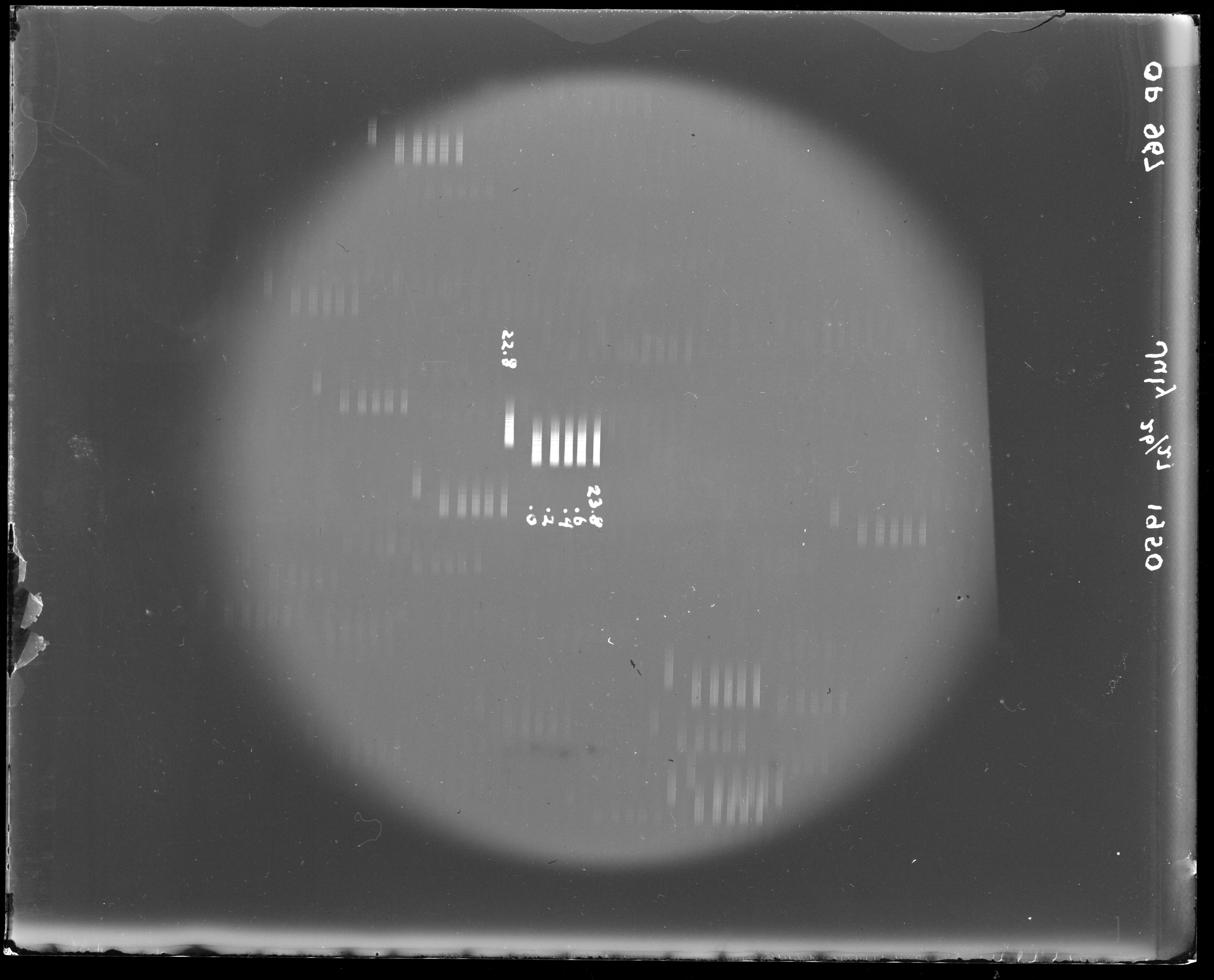 Full plate scan