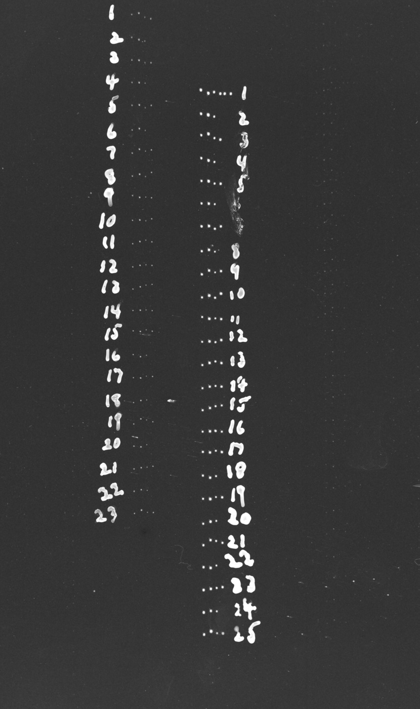 Photographic detail